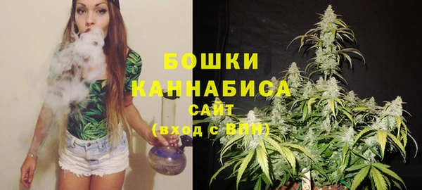 apvp Белокуриха