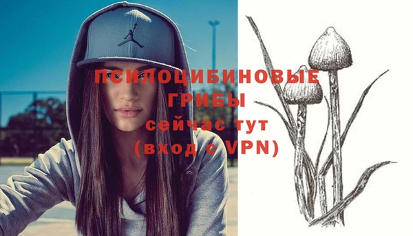 PSILOCYBIN Богданович