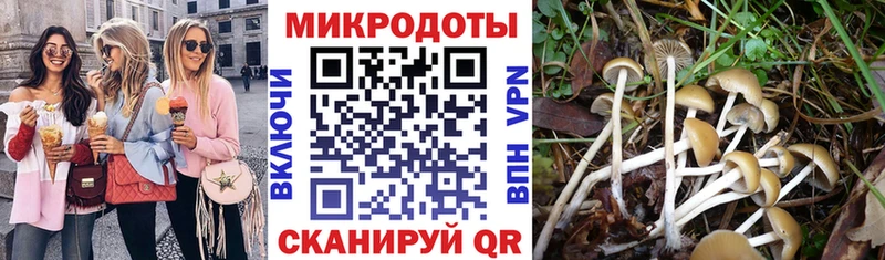 Псилоцибиновые грибы GOLDEN TEACHER  Купить закладки  Катайск 